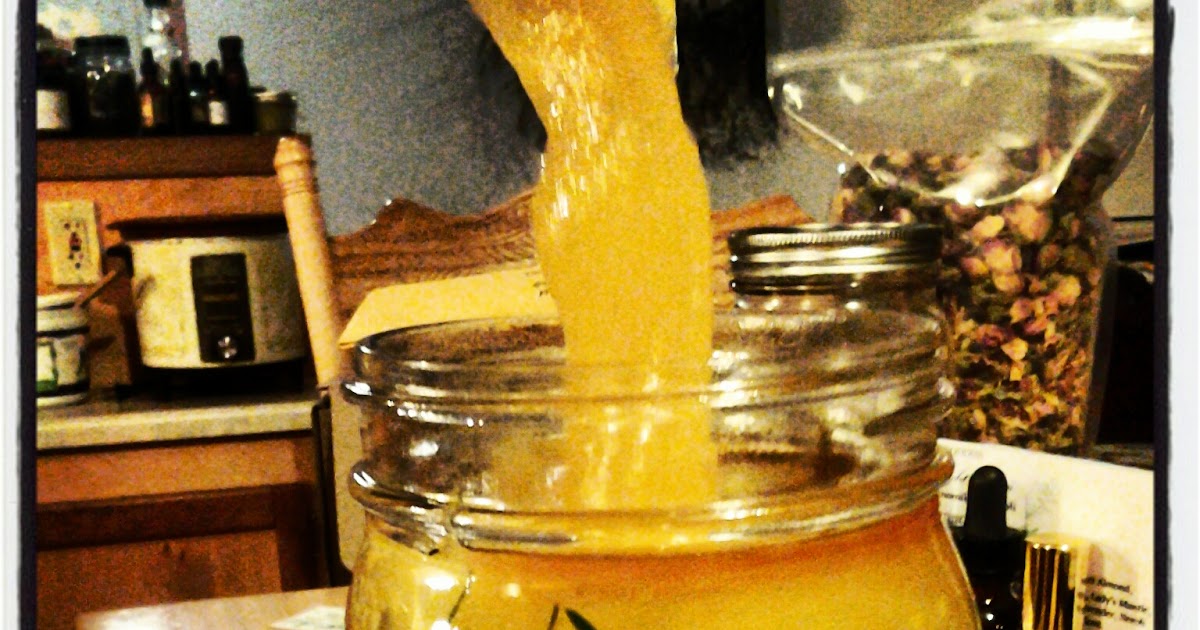 Plant Journeys Conifer Tree Potions (Solstice Medicine or How to use