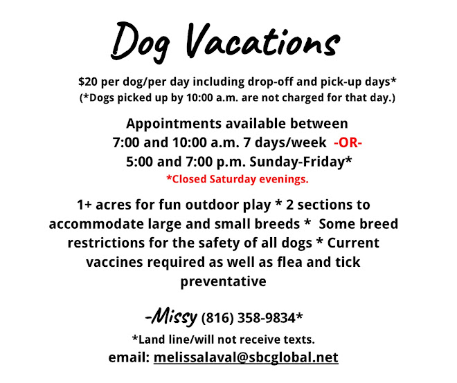 Dog Vacations