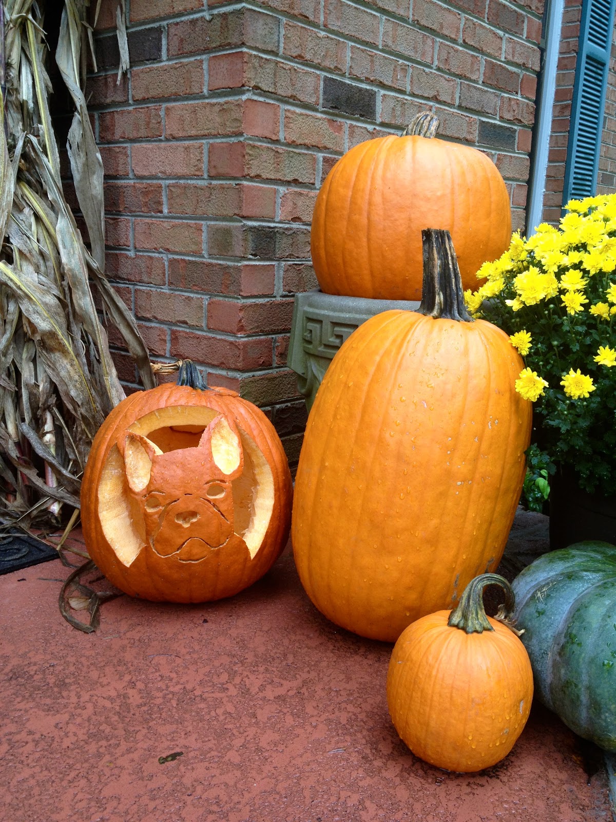 Eccentric Little Beauties Pumpkin Pregnancy Photos and an Ambitious