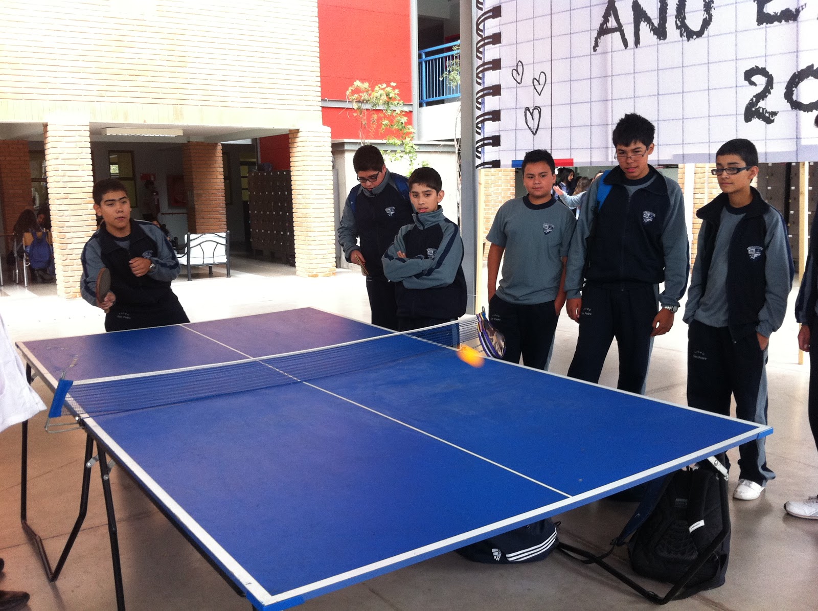 pelotas de taca taca puente alto