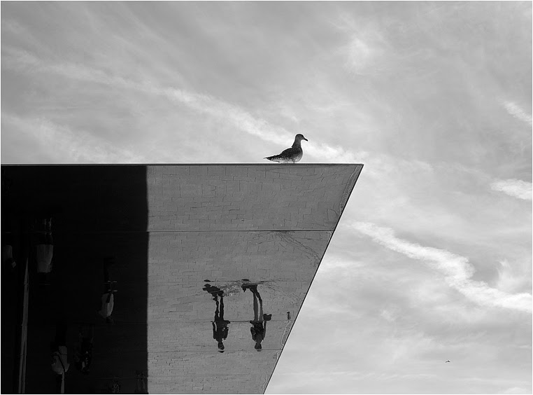 emphoka, photo of the day, Georg Hörmann, Nikon Coolpix P7700 emphoka, photo of the day, Georg Hörmann, Nikon Coolpix P7700
