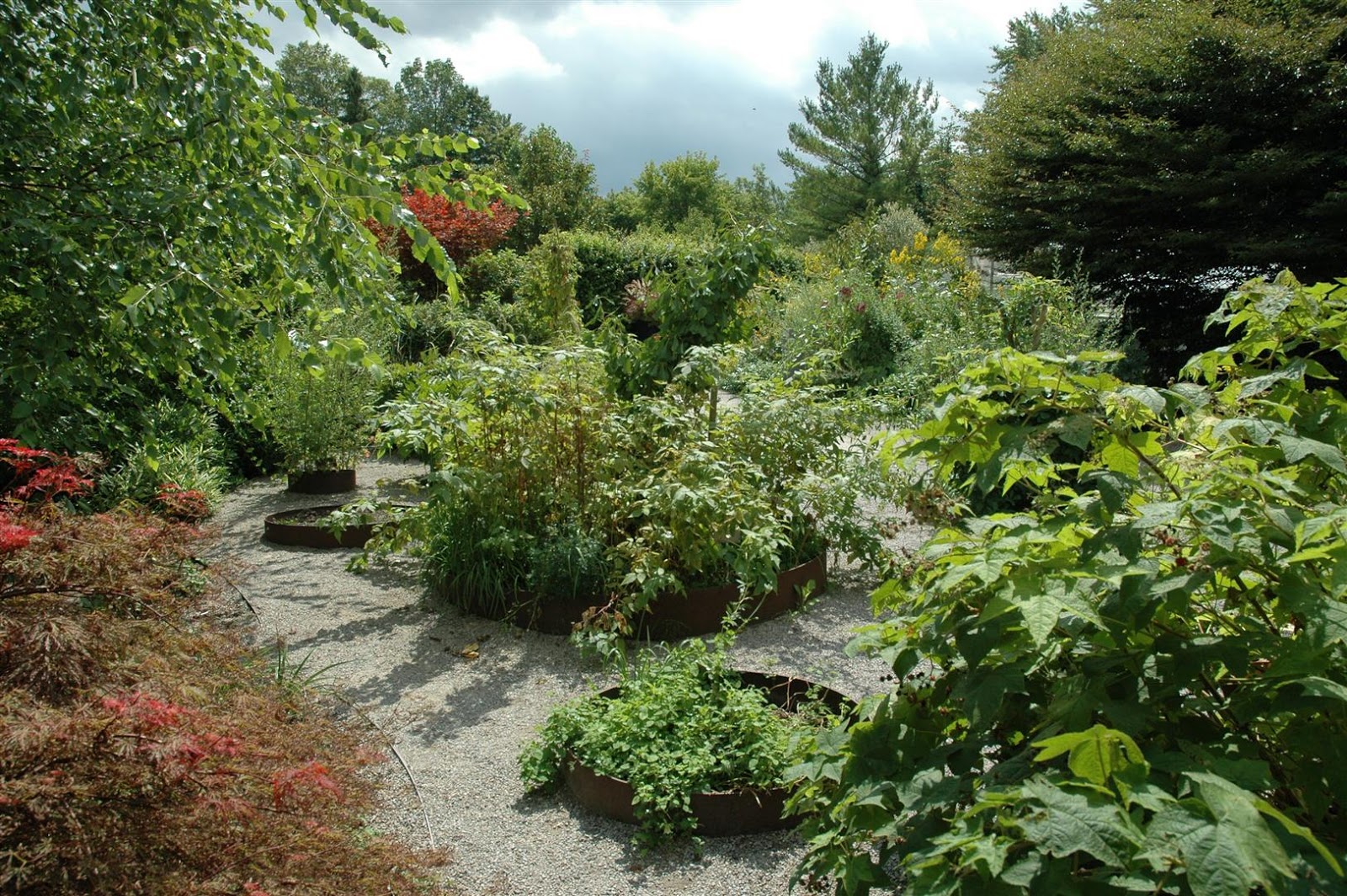 The Garden Wanderer The Toronto Botanical Gardens Part Two