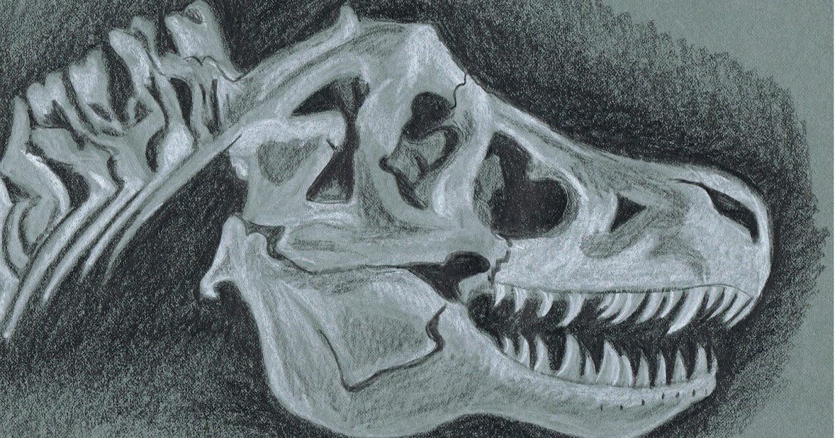 Louann Mattes Brown: SkADaMo: Sketch 16: Dinosaur Bones
