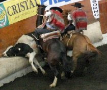 Fotos Fiestas Patrias Chilenas