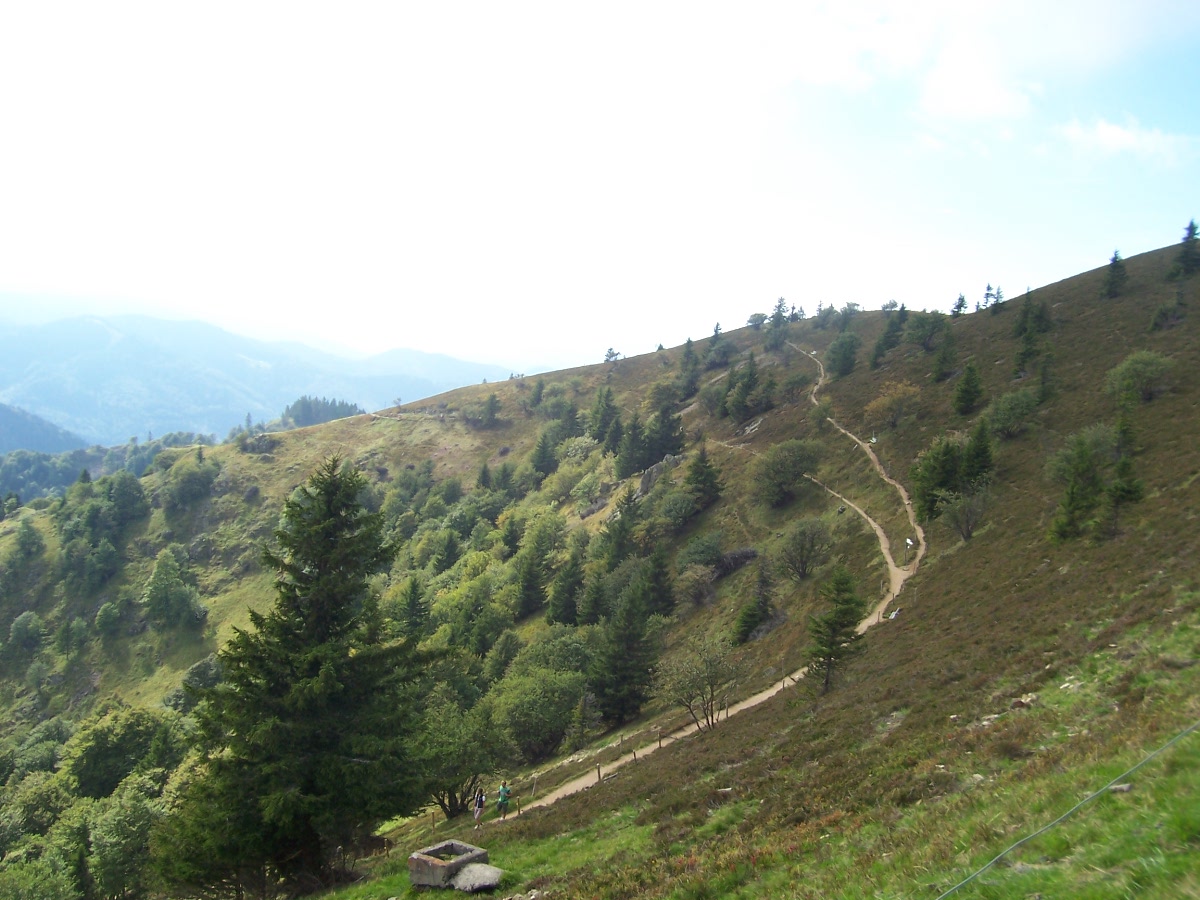 Carl Gibson Werke Und Schriften Online Edition 2011