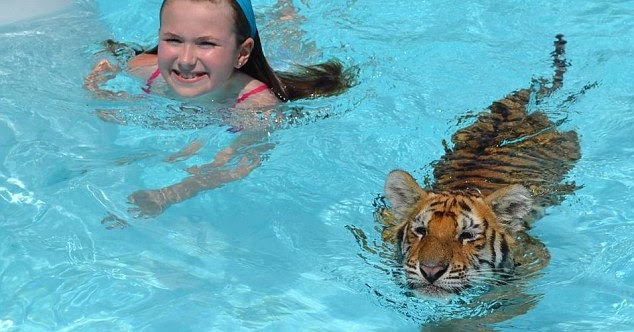 Brash.Inc Did you Know you can swim and play with baby