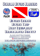 Sekolah Diving Bandung