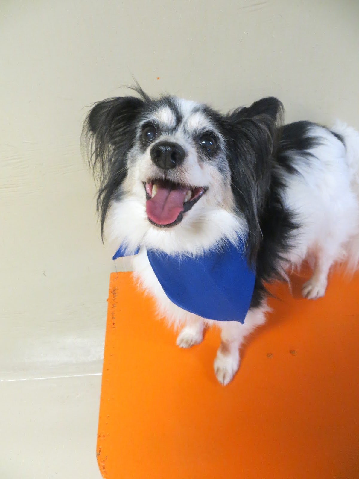 What S Wrong With The New Gods A Look At Jack Kirby S Fourth World