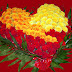 Facebook Timeline Zone: Attitude Quotes By Girl Facebook Timeline