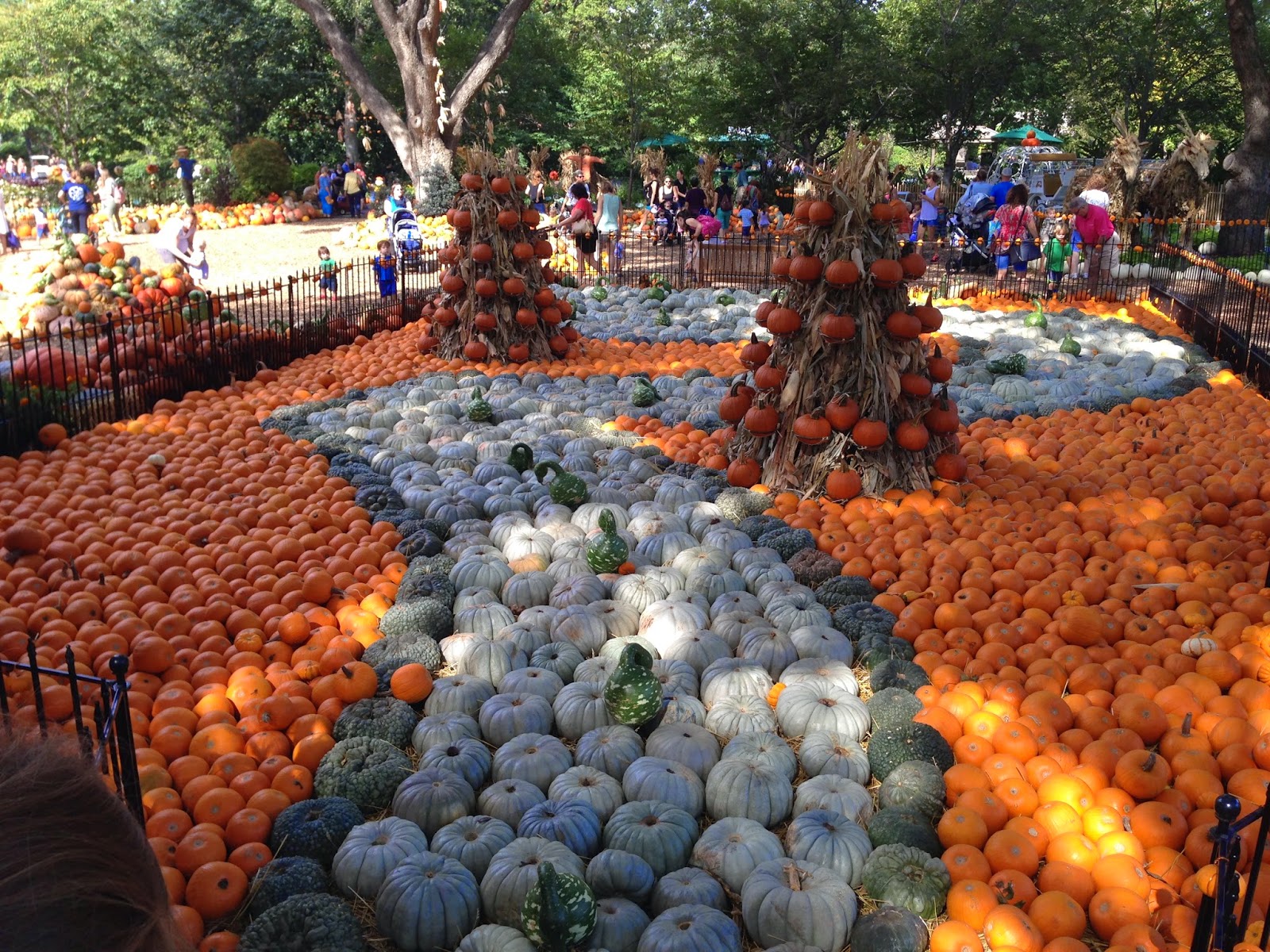 Dallas Arboretum Pumpkin Patch & Children’s Garden The Ballard Family