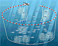 Jaring Penangkap Ikan (Purse Seine) perikanan