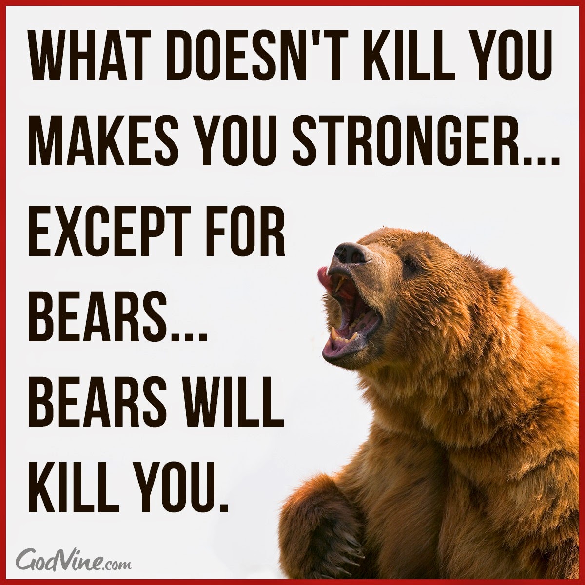 Thoughts From A Unicorn What Doesn T Kill You Makes You Stronger Except Bears