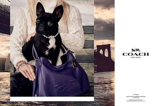 Steven Meisel captures Miss Asia Kinney for Coach Fall 2015 ad campaign