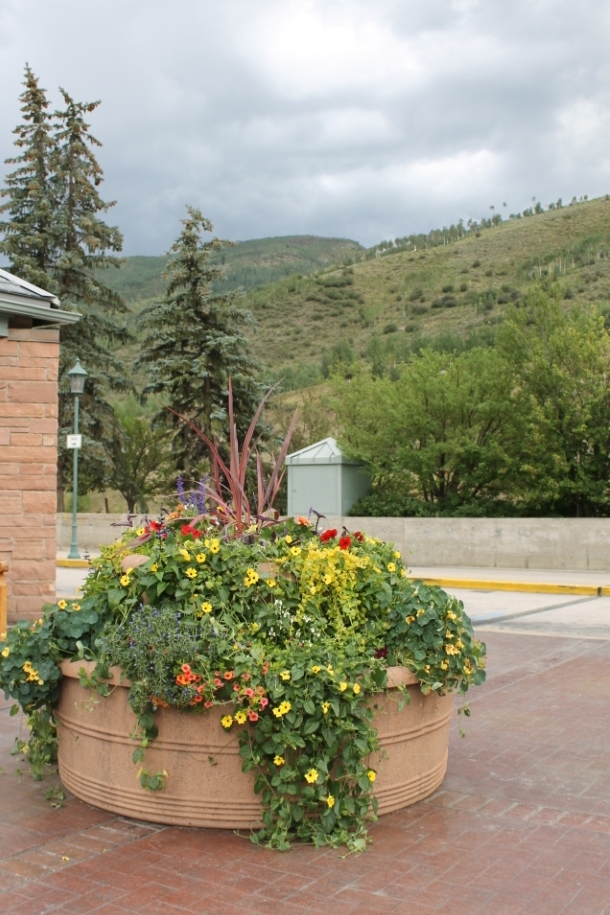 Miss Kopy Kat The Flowers of Vail