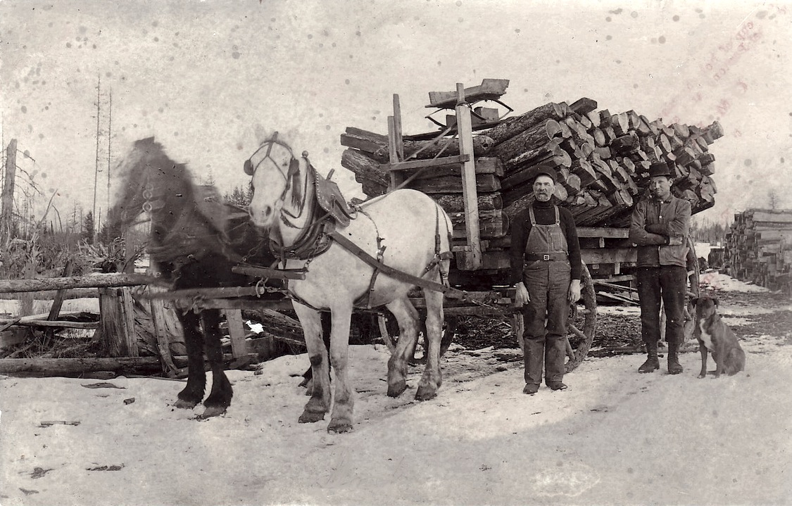A drifting cowboy Cowboy Legacy Montana stump ranch 1912