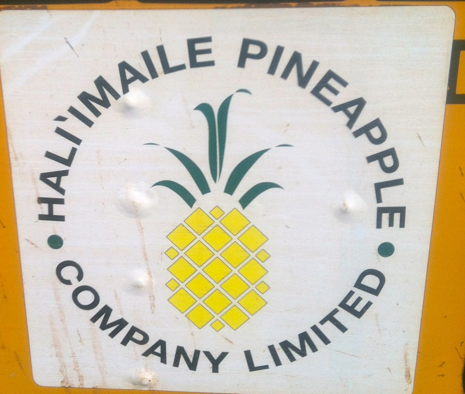 The Big Pine…Apple