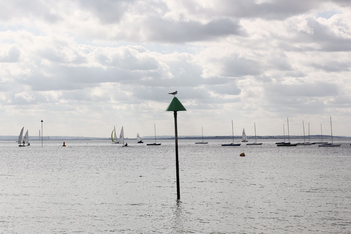 shoeburyness seagull beach southend