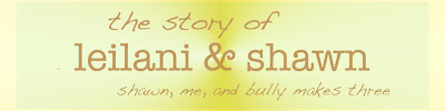the story of leilani & shawn