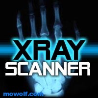 Program X-Ray Scanner