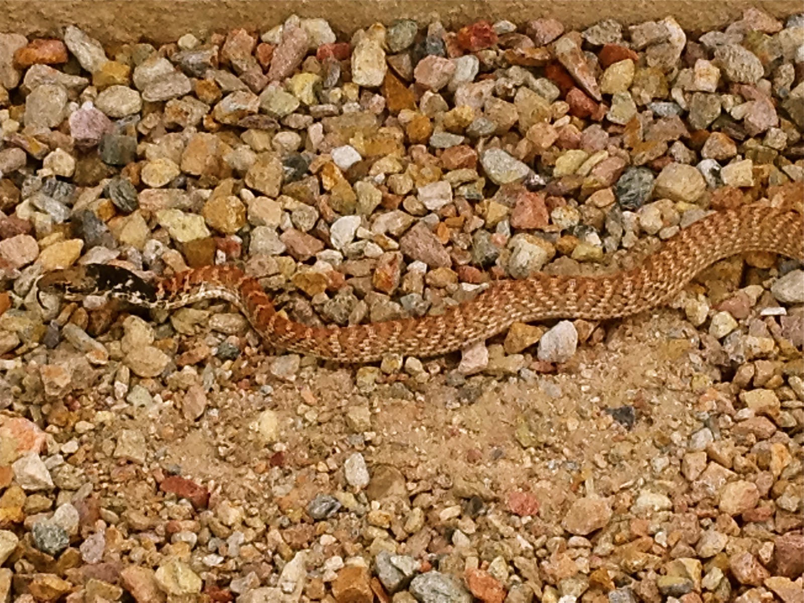 Things to Ponder Look What I Found....