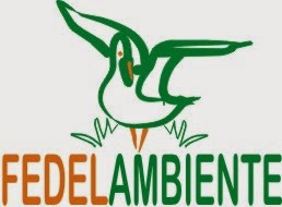 Fedelambiente Sede Centrale