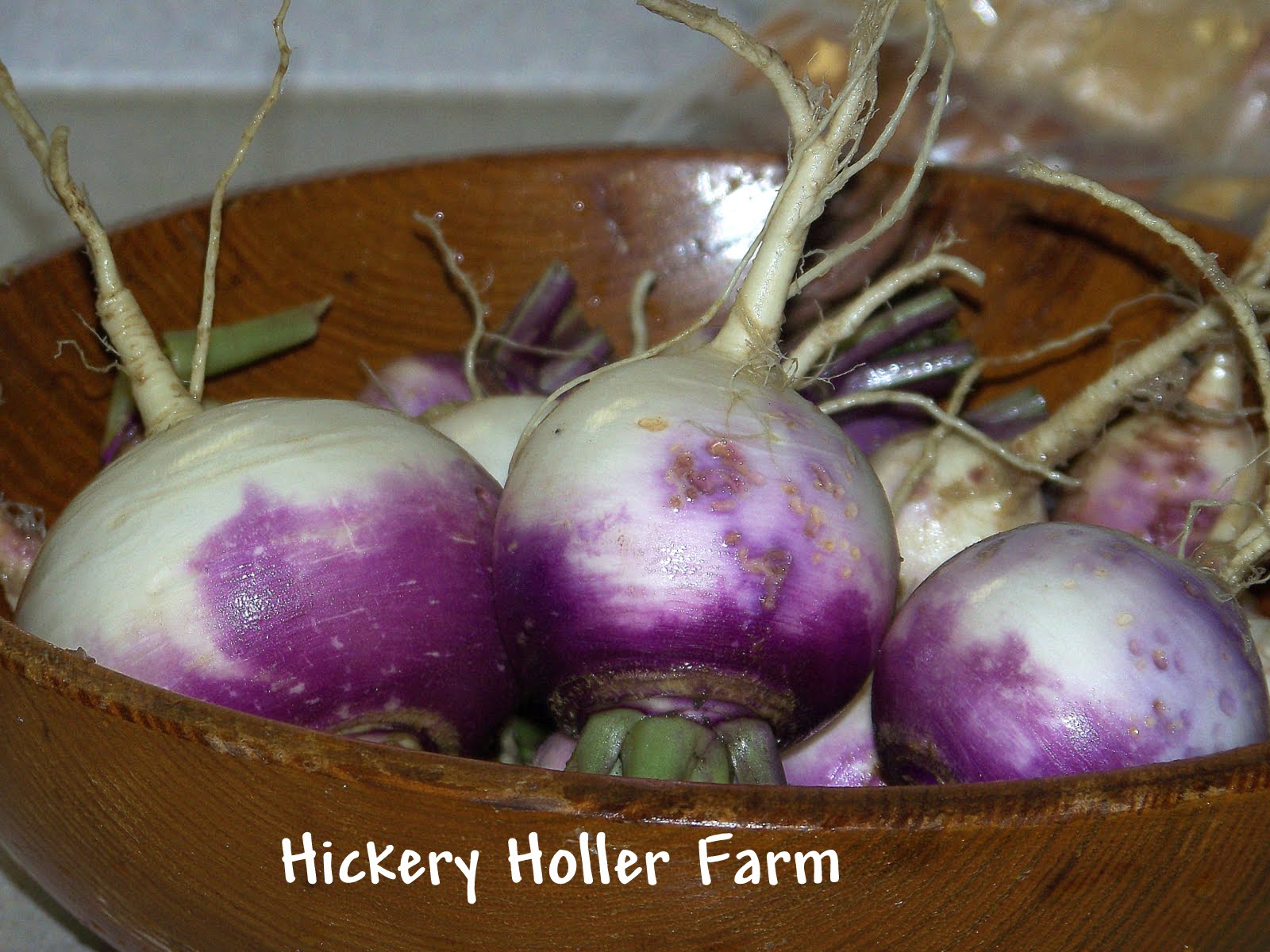 Hickery Holler Farm Fall Turnips