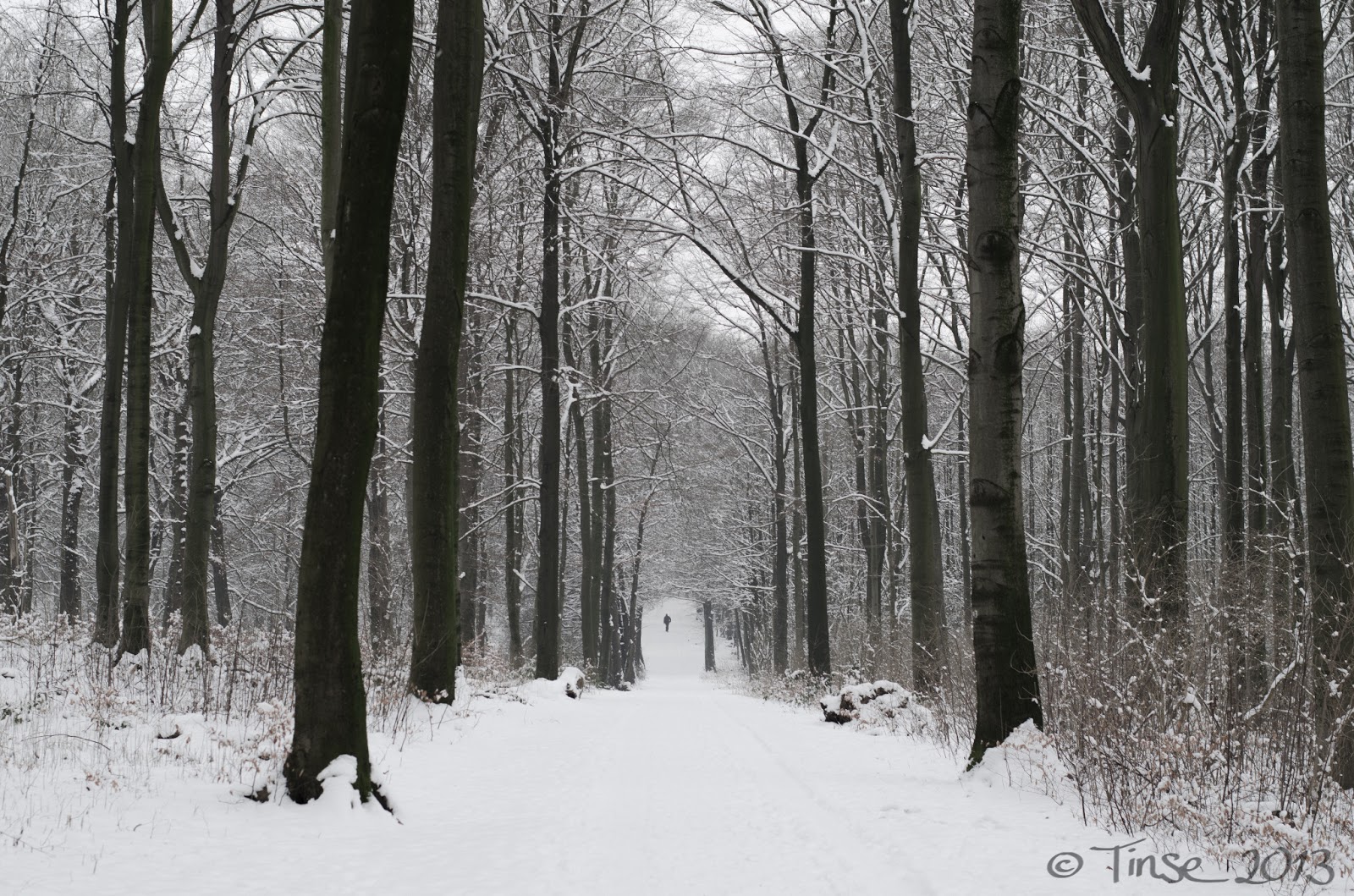 Wochenende Am 23 Und 24 Februar Frische Brise Bloglovin