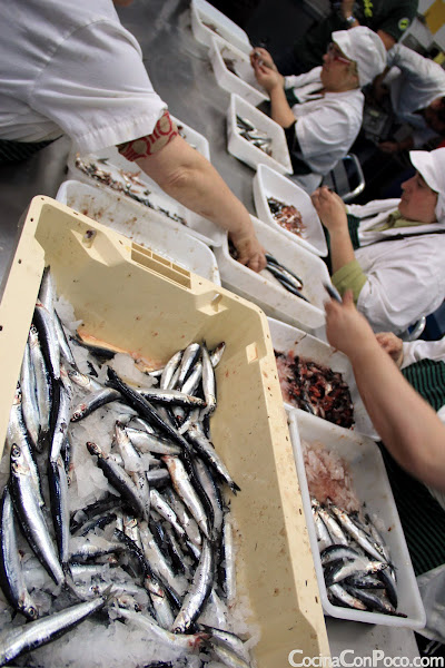 Antxua Eguna - Dia de la anchoa - Getaria - 2011 Antxua Eguna - Dia de la anchoa - Getaria - 2011