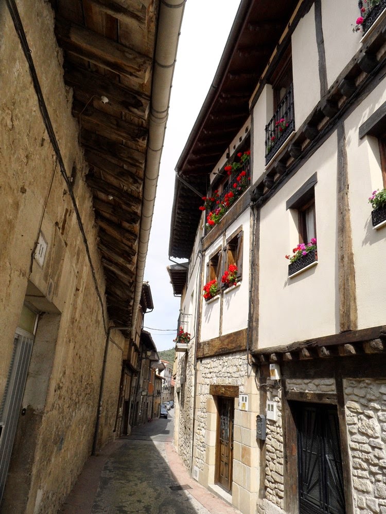 Tierras de Burgos Treviño