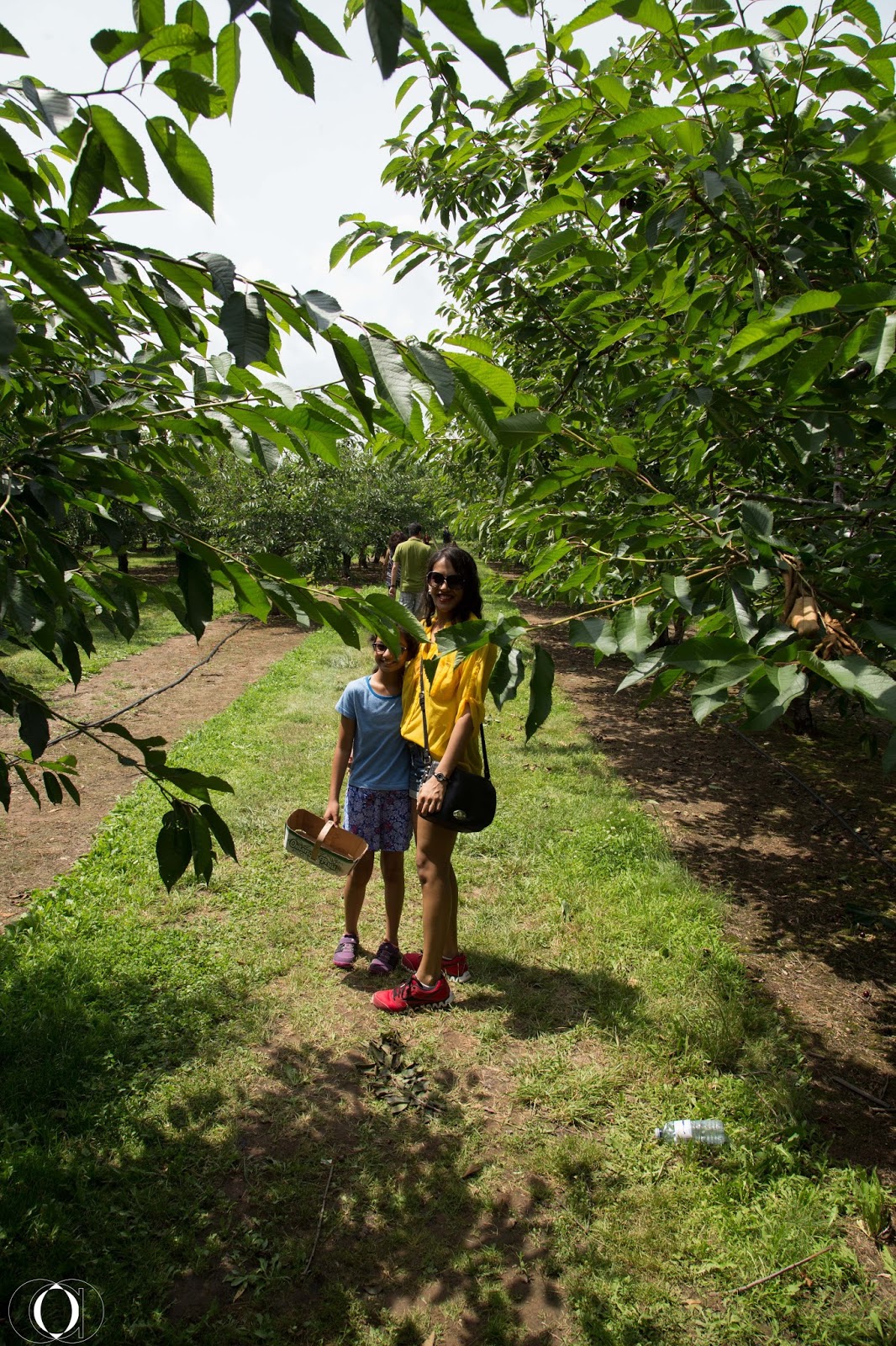 Canada Day 3 Cherry picking, Train riding and Having funning The
