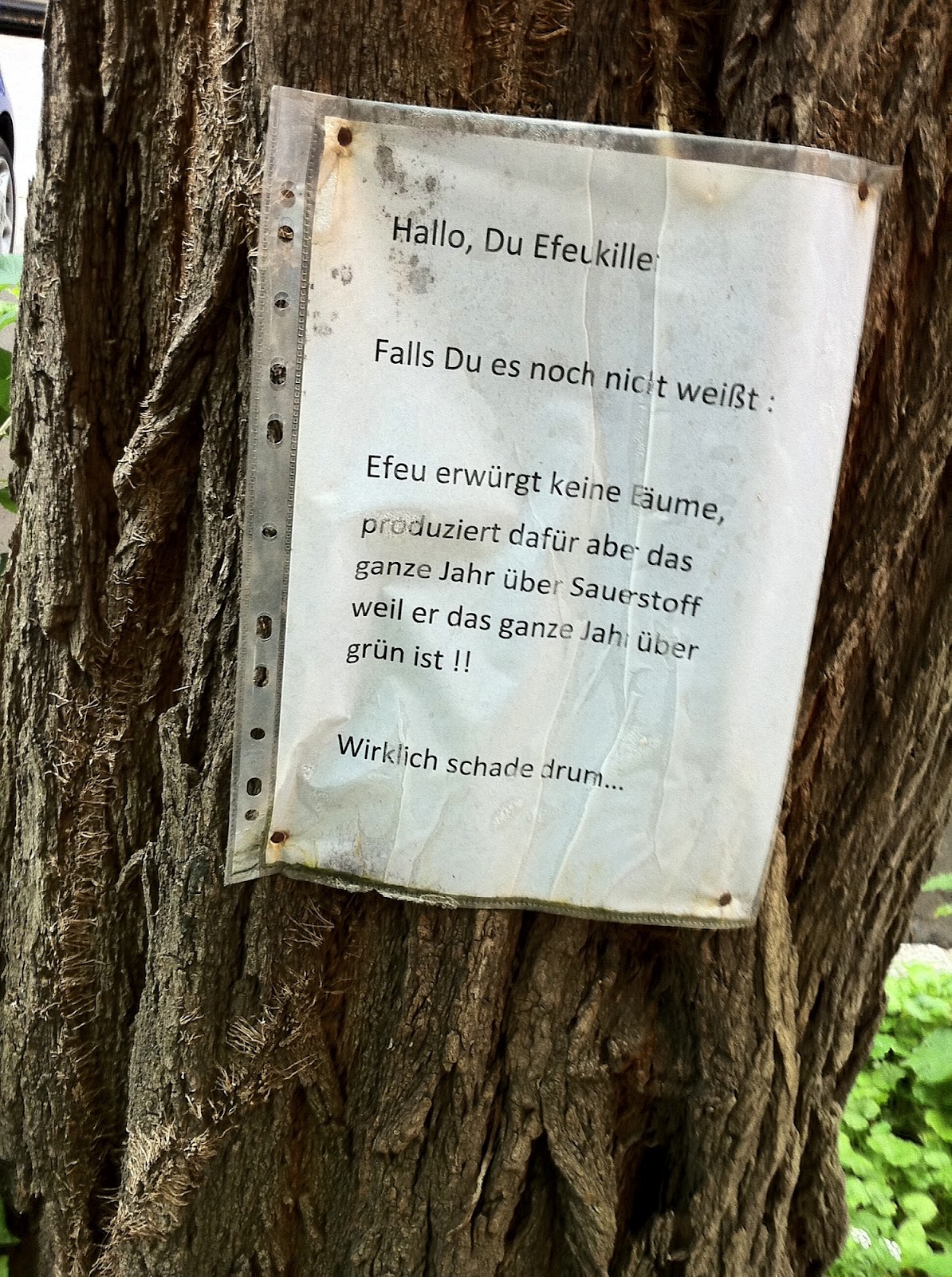 Die Moderne Und Erfolgreiche Vermarktende Erzeugergenossenschaft