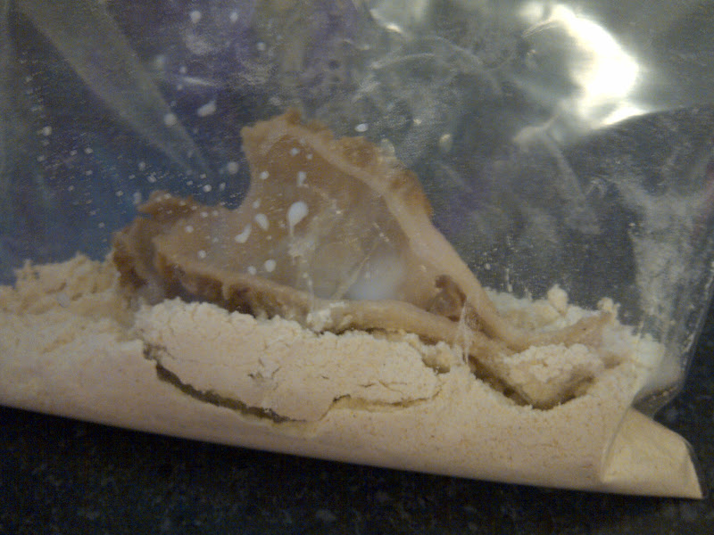 USASillyYaks Morel Mushrooms....gluten free food sent from Heaven