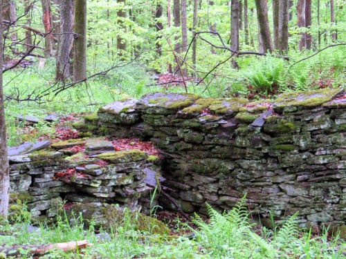 stone foundation