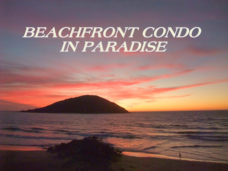 Beachfront Condo in Paradise