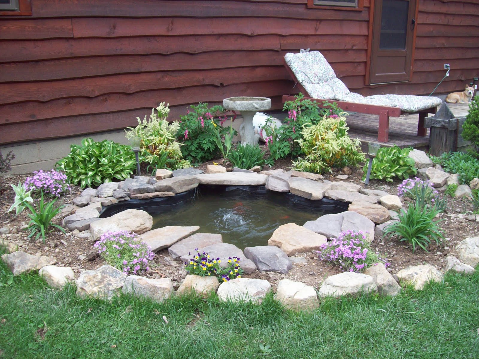 A Primitive Homestead Plants Around The Pond / This & That