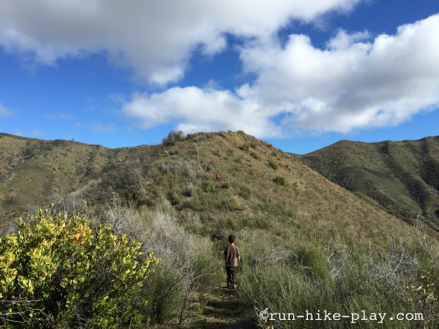 Hiking Billy's Hill to Cortina Ridge