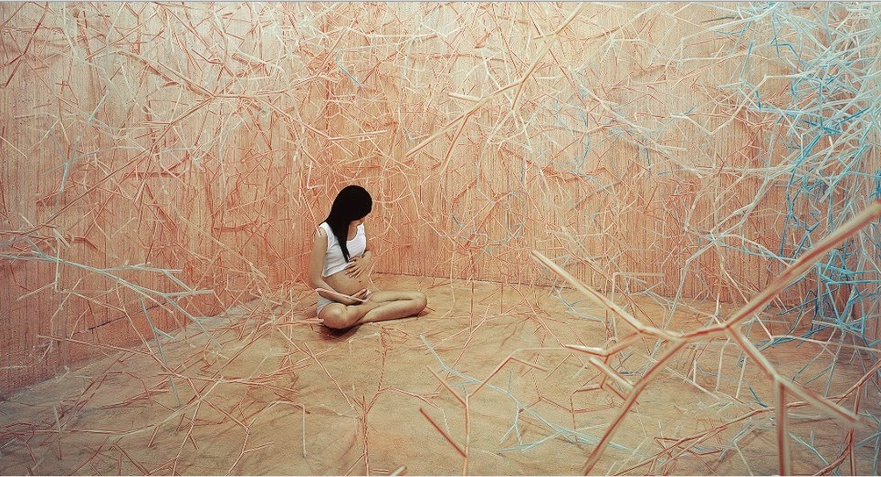 Sharp spindly veins seem to be charging toward the pregnant woman in the photo, and the imagery of blood vessels alludes to the inside of a womb. Lee explains: "This work is an expression of my premature self who isn't ready to go out into the world, and it is also a hint at new hope for the imminent baby or possibilities."