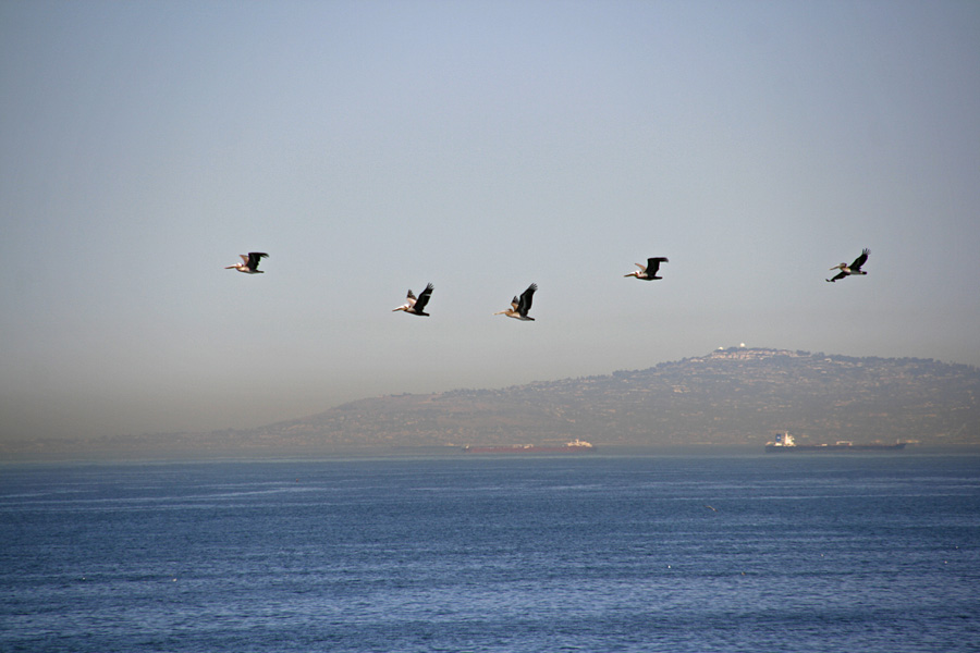 Catalina Island Weather Forecast