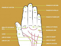 Palm Reading Diagram Palm Reading Diagram