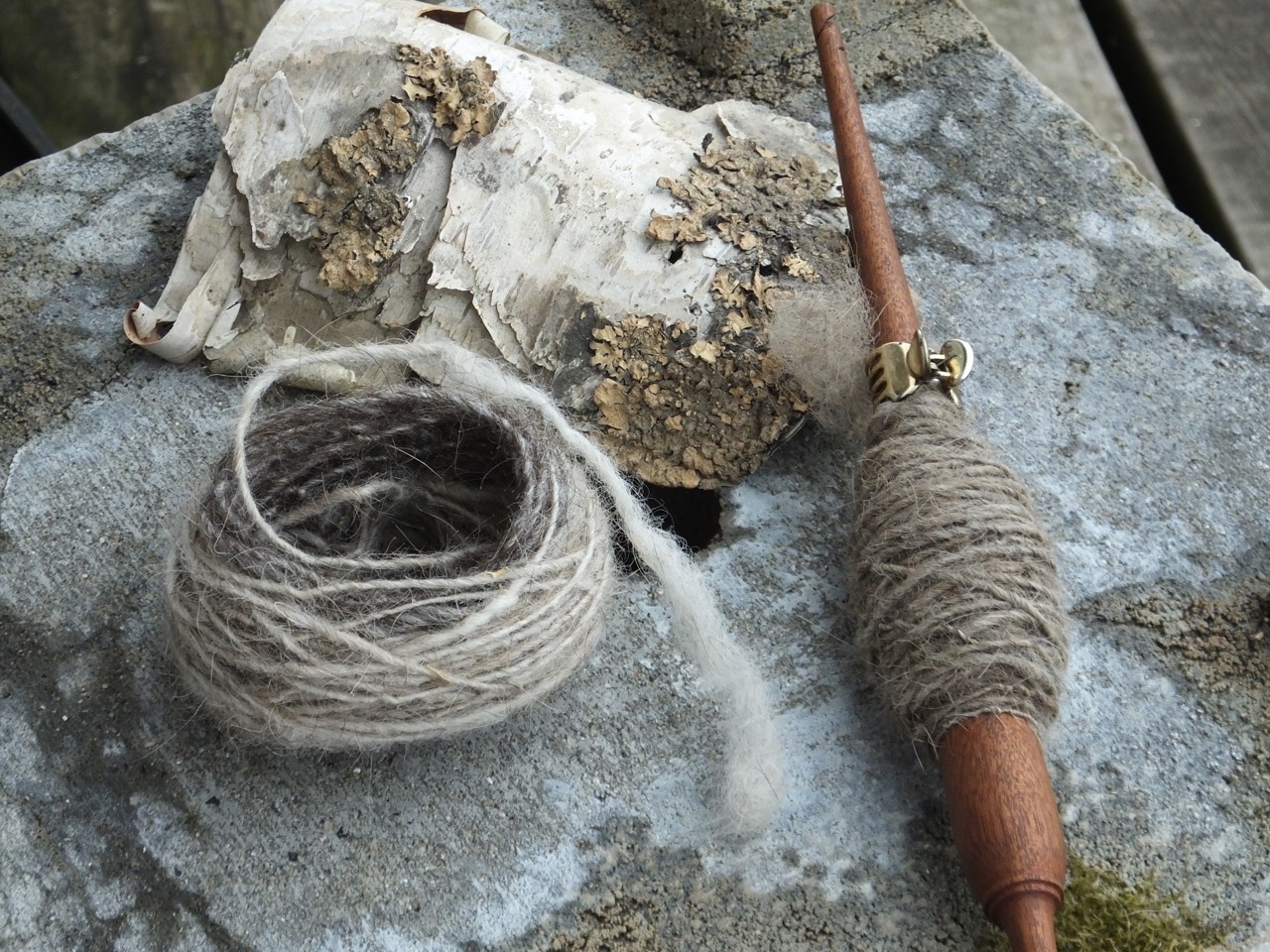 Journal of Ravenseyrie Spinning Sorraia!