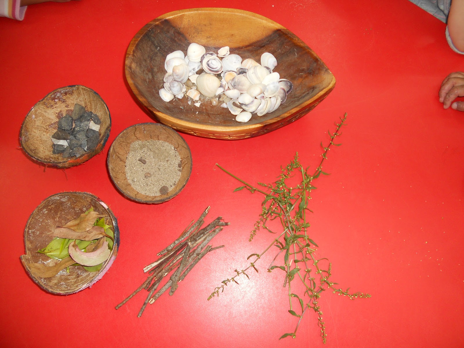 Metua's Blog Using natural resource for painting