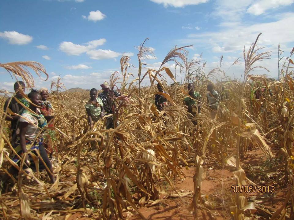 11025640_822078941161657_919115078189763