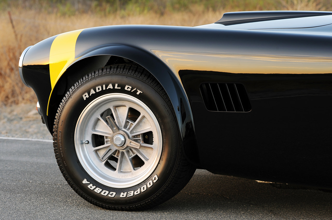 Karznshit Shelby Cobra 289 Fia