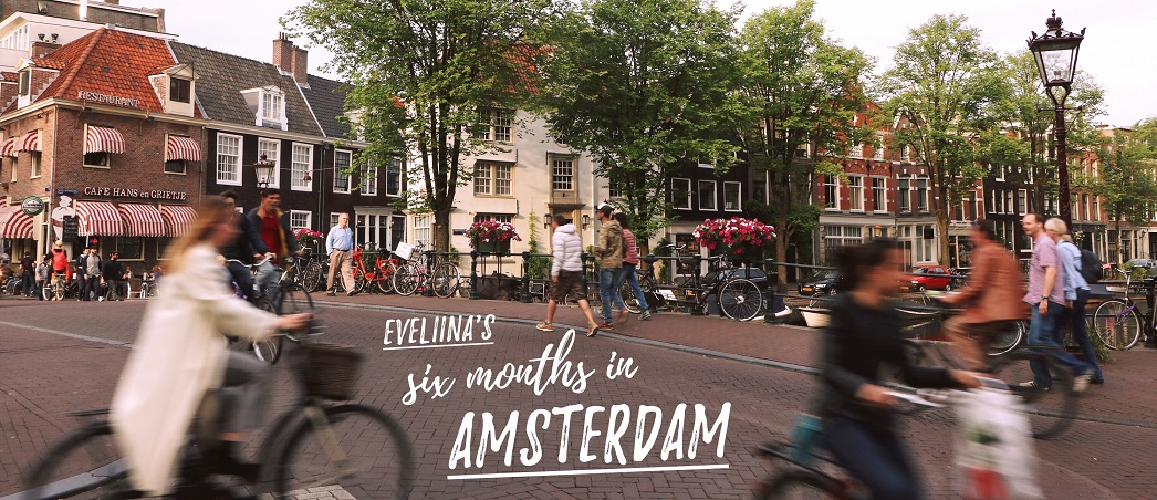 six months in Amsterdam