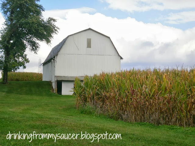 Drinking From My Saucer :: An Early Fall Drive