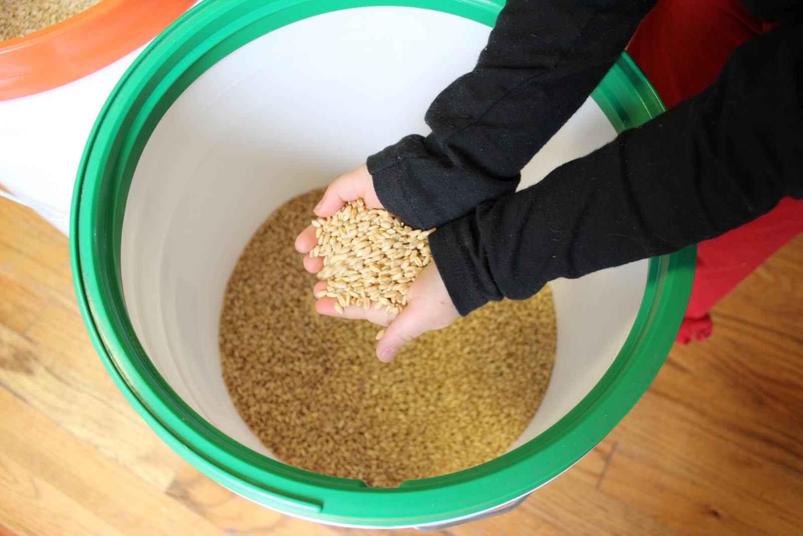 Homestead Roots Grain Buckets Wheat and Oatmeal