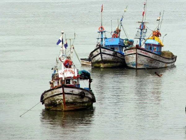 Pakistan, Fishermen, Arrested, PM, Arabian Sea