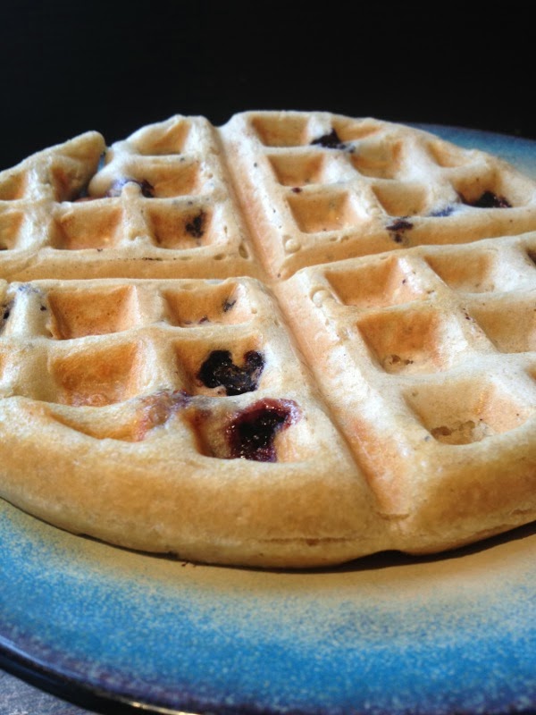 Feeding Marika's monkeys Blueberry Waffles, eggless, dairy free