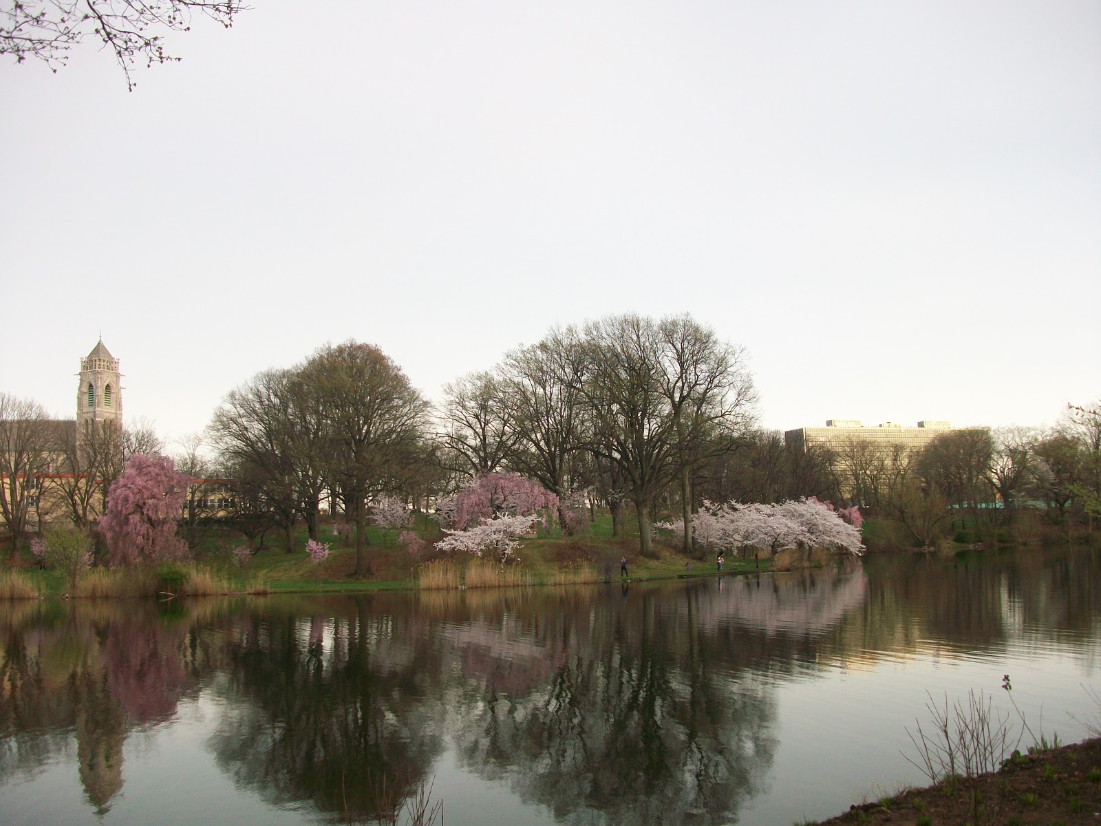 A Profile of Urban Parks Branch Brook Park Newark, NJ