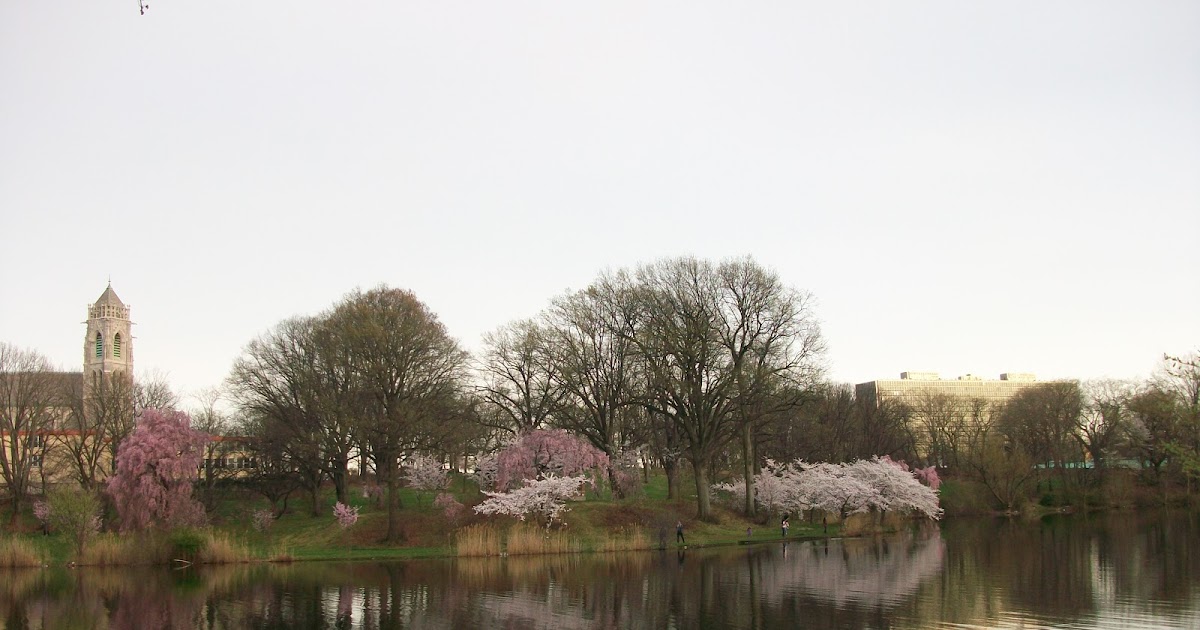A Profile of Urban Parks Branch Brook Park Newark, NJ
